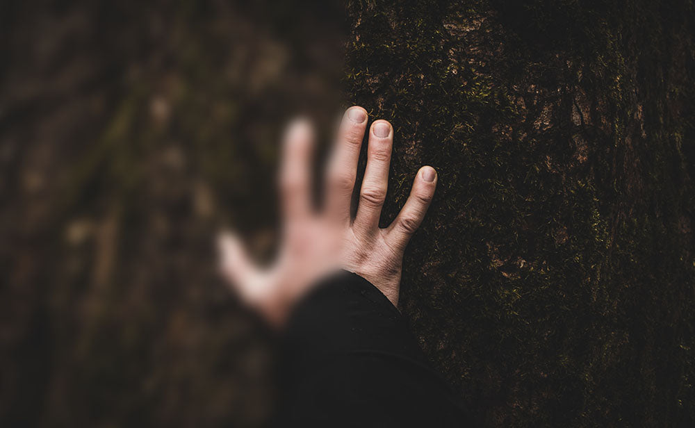 Hand touching tree